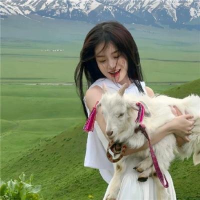夏天协奏曲